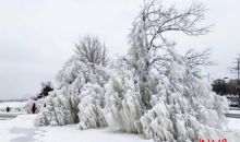 冬季风暴已至！美西雅图遇罕见暴雪、数百航班取消